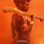 The Woman King (2022)